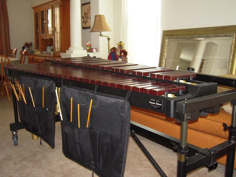 marimba instrument famille percussion avis