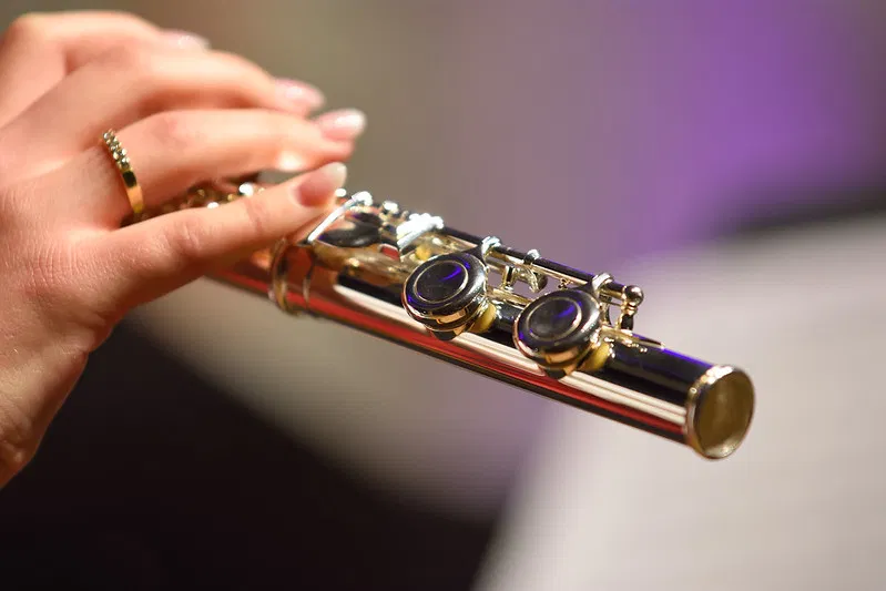 facilite jeu debutant choix flutes traversieres