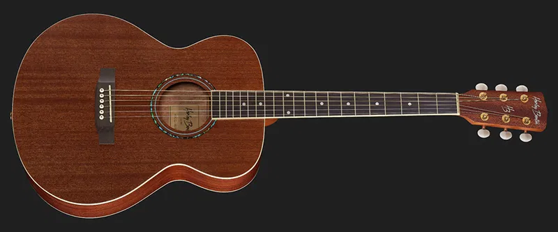 harley benton cg 45 ns