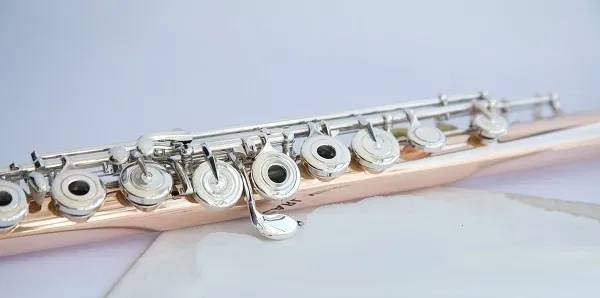 critere-choix-piccolo