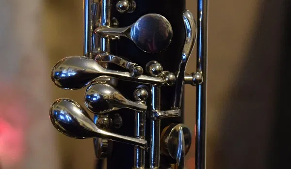 principaux-criteres-choisir-meilleur-hautbois