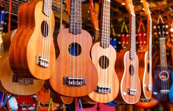 guide-achat-ukulele-makala