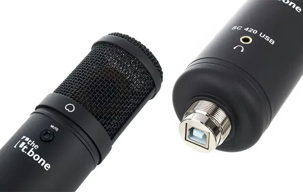 comment-choisir-microphone-large-membrane