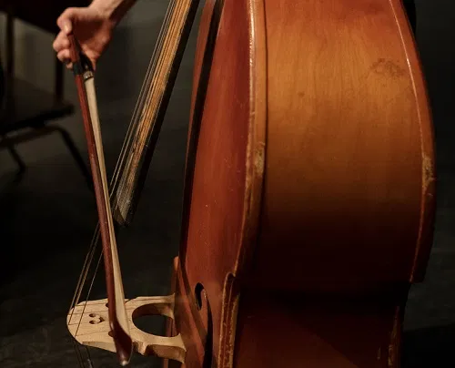 guide-achat-archet-contrebasse