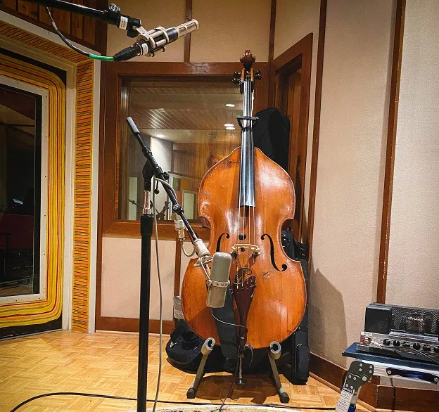 Guide achat support contrebasse