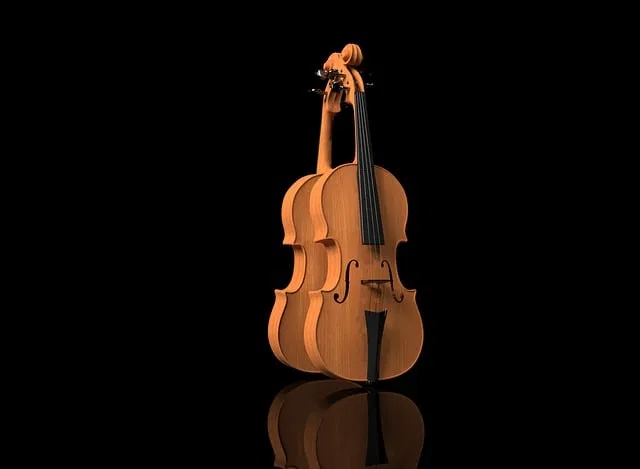 Presentation instrument violon