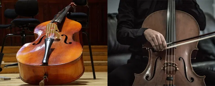 quelles-differences-entre-contrebasse-violoncelle