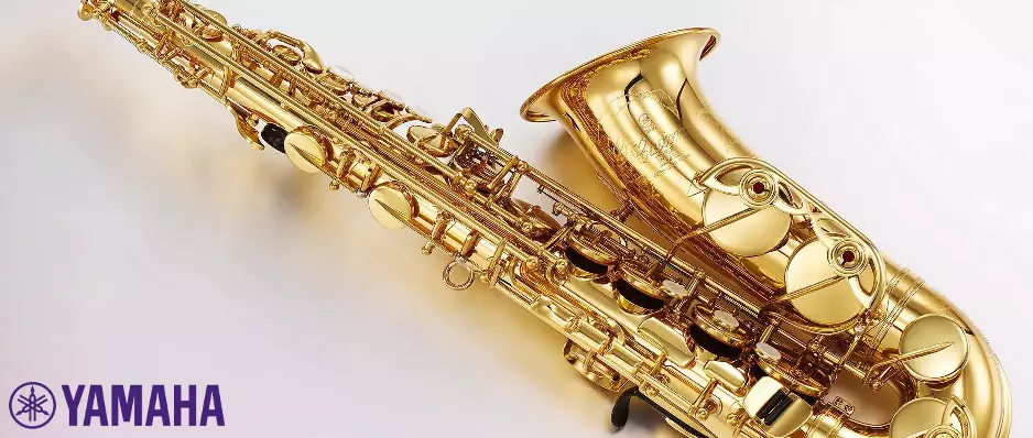 Mini saxophone de poche portable petit instrument de saxophone + sac pour  début