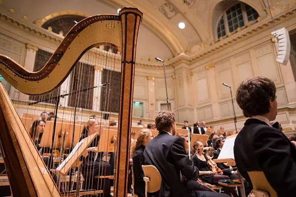 Cordes, tailles, pédales… Trois choses cool et étonnantes à savoir sur la  harpe